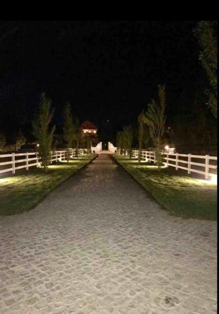 Casa Pitta Charm Villa Сантарен Екстер'єр фото